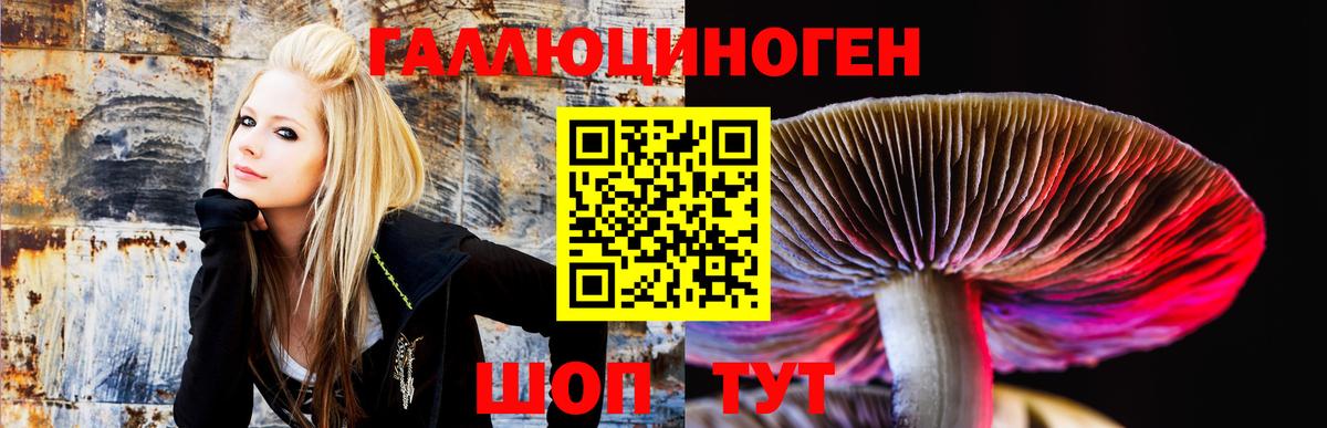 Томск  Галлюциногенные грибы Magic Shrooms  продажа наркотиков  Вход с VPN 