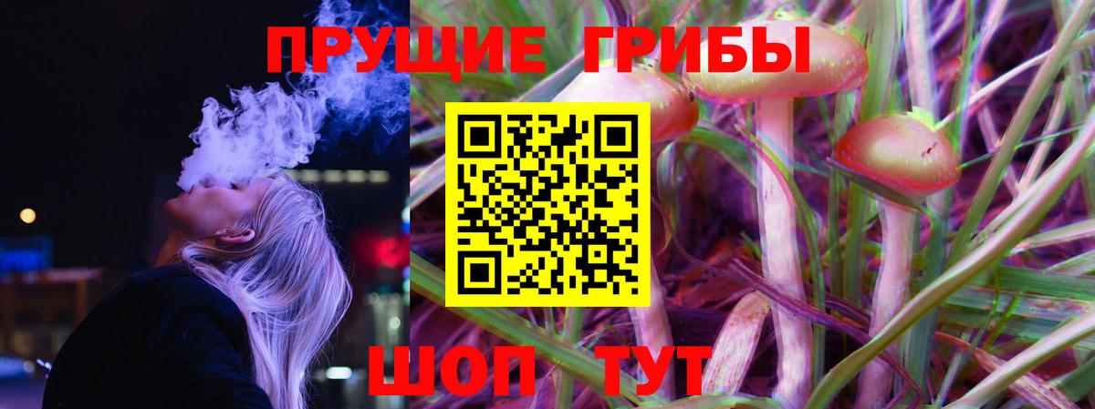 Галлюциногенные грибы MAGIC MUSHROOMS Томск